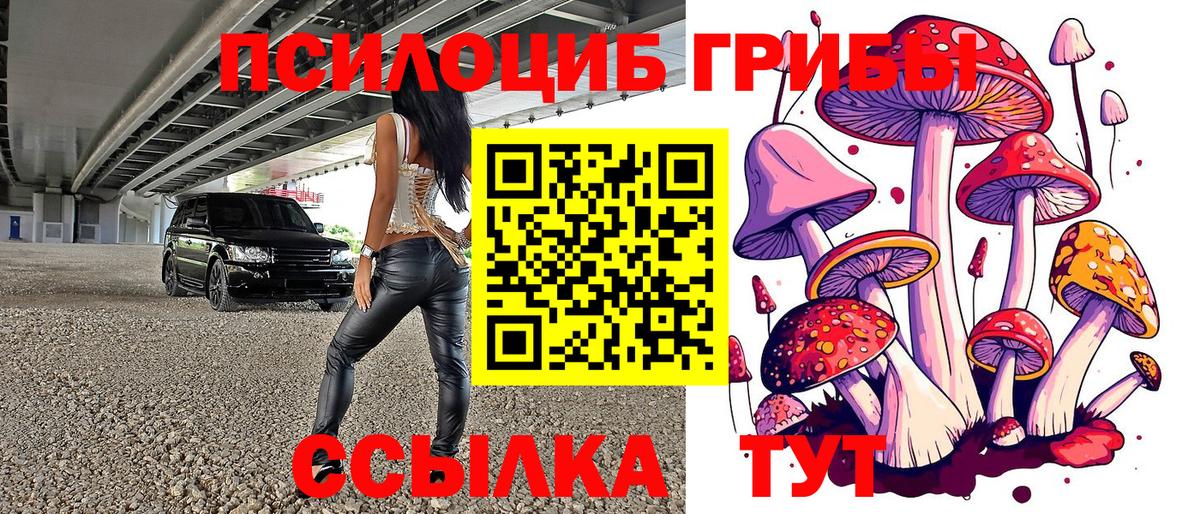 Орёл  Галлюциногенные грибы Psilocybe  Вход с VPN  Псилоцибиновые грибы Cubensis 